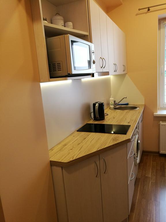 Hearthouse Apartments Ντρουσκινινκάι Εξωτερικό φωτογραφία